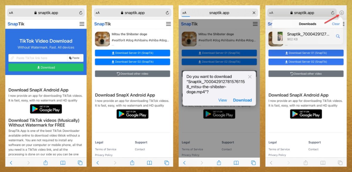 How to Save TikTok to Camera Roll Without Watermark [TikTok Life Hacks] BlurayVid