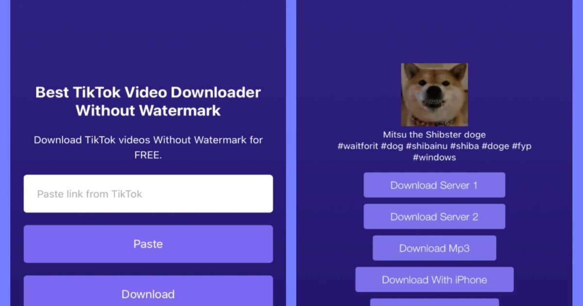 How to Save TikTok to Camera Roll Without Watermark [TikTok Life Hacks] BlurayVid
