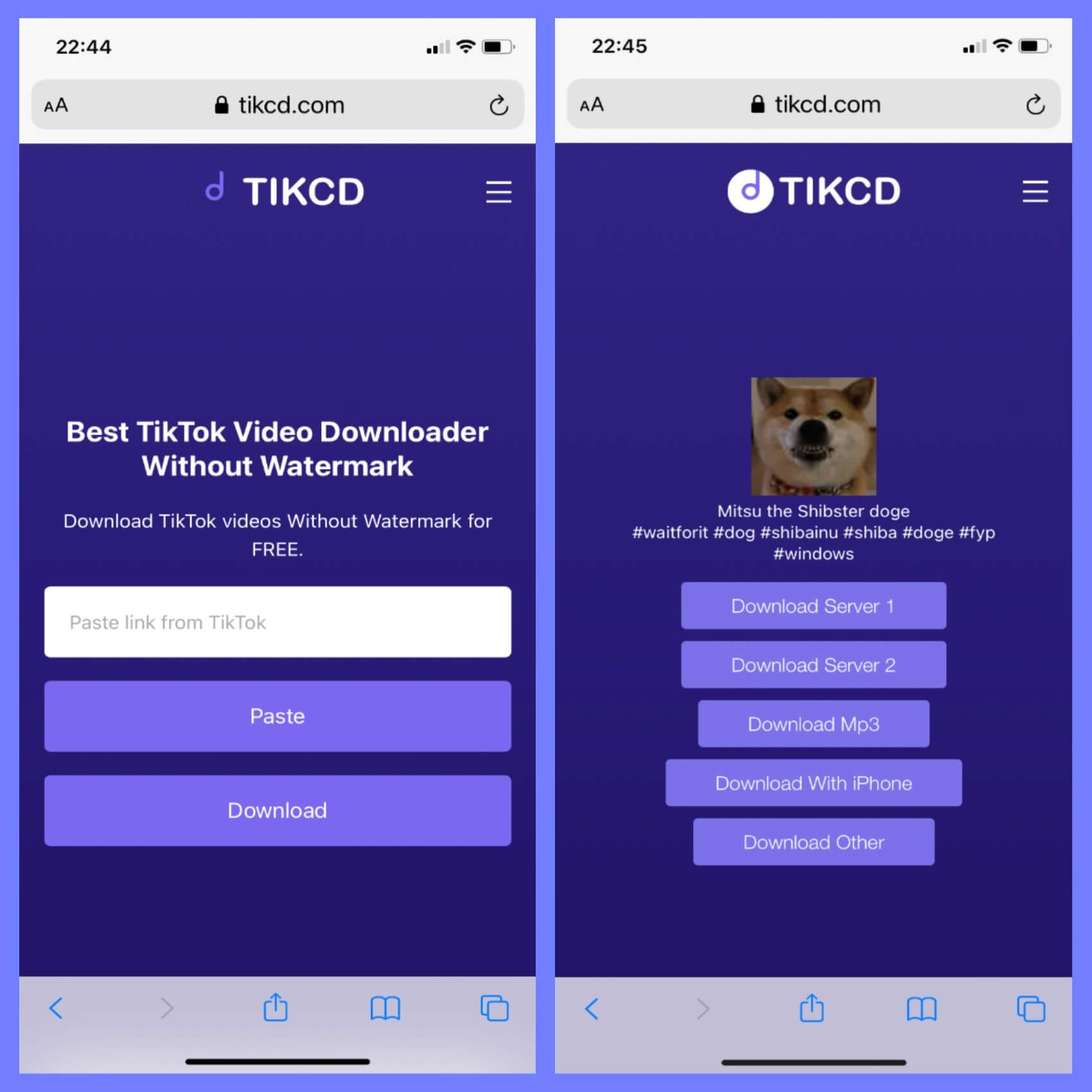 Download TikTok Video to iPhone Camera Roll with No Watermark with TIKCD