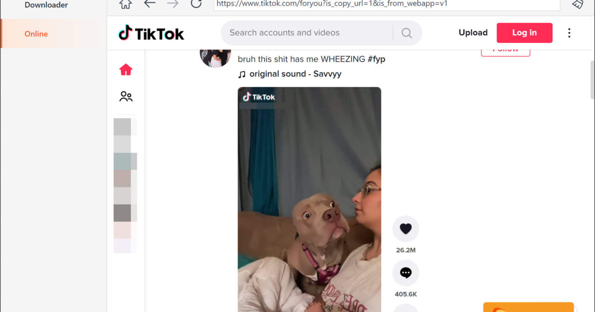 Save TikTok Videos to Camera Roll with These Tips BlurayVid